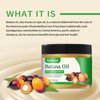 Natural Batana Oil for Hair Treatment,100% Natural Raw Batana Oil,Repair Dry and Damaged Hair, Prevent Hair Loss, Promote Hair Growth, Moisturize and Nourish, Leaves Hair Soft and Shiny 4.23 OZ