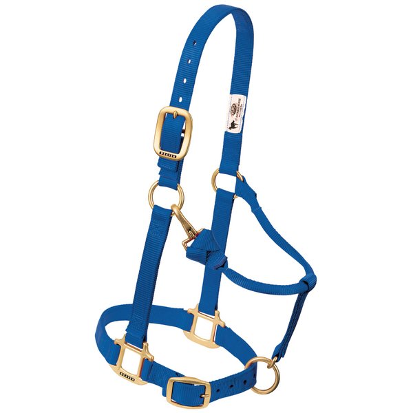 Weaver Leather Original Adjustable Nylon Horse Halter, Blue, Arabian/Cob