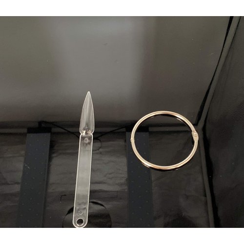 2 Sets 100 Tips Fan Shape Plastic Nail Art Tips Display Polish Board Display Practice Sticks with Metal Split Ring Holder (Clear Color)