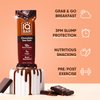 IQ Bar, Chocolate Sea Salt, 4 count