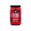 BSN Amino X Muscle Recovery & Endurance Powder with BCAAs, Intra Workout Support, 10 Grams of Amino Acids, Keto Friendly, Caffeine Free, Flavor: Watermelon, 30 Servings (Packaging May Vary)