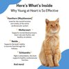Pet Wellbeing Young at Heart for Cats - Vet-Formulated - Supports Cardiovascular System | Heart & Circulatory Health - Natural Herbal Supplement 2 oz (59 ml)