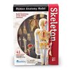 Learning Resources Skeleton Model, Miniature Model, Easy to Manipulate, 41-Piece Model, Ages 8+ Multi-color, 9.2 inches tall