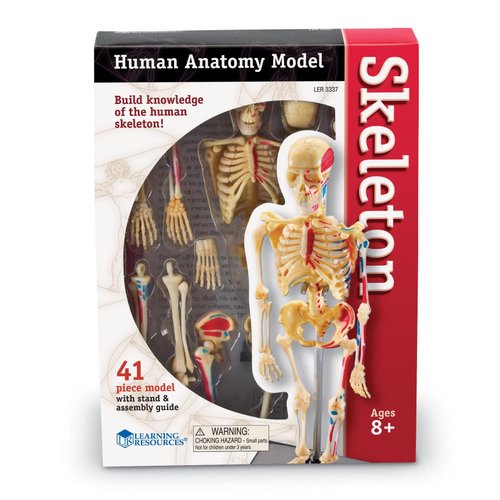 Learning Resources Skeleton Model, Miniature Model, Easy to Manipulate, 41-Piece Model, Ages 8+ Multi-color, 9.2 inches tall