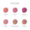 OFIR Elation Powder Blush – Buildable & Highly-Pigmented, Line-Blurring Formula for a Smooth Finish | Apricot - Subtle Peach Shade, 0.13 oz | Long-Lasting, Lightweight Blush Powder