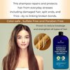 Peppermint Rosemary Hair Regrowth Shampoo - Anti Hair Loss product, Daily Hydrating, Detoxifying, Volumizing Shampoo and Fights Dandruff For Men and Women 16 fl oz