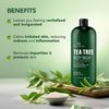 Botanic Hearth Tea Tree Body Wash, Helps with Nails, Athletes Foot, Ringworms, Jock Itch, Acne, Eczema & Odor, Soothes Itching Promotes Healthy Skin and Feet, Naturally Scented, 16 fl oz