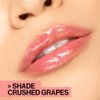 wet n wild Lip Gloss MegaSlicks, Purple Crushed Grapes | High Glossy Lip Makeup 0.19 oz