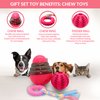 SoSoCute Pink Dog Gift Box - Puppy Chew Toy Set of 5 - Puppy Care Package with Dog Blanket, Squeaky Plush, Rubber Puppy Teether, Teething Ball, and Treat Ball for Small and Medium Dogs