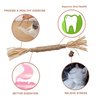 PAZ'S GIFT Catnip Toy Cat Toys Catnip Toy cat chew Toy cat Kicking silvervine Stick Teeth Cleaning Cute Kitten Teething Indoor Interactivecat Dental Care Matatabi (Raffia 2pcs)
