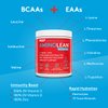 RSP AminoLean Recovery - Post Workout BCAAs Amino Acids Supplement + Electrolytes, BCAAs and EAAs for Hydration Boost, Immunity Support - Muscle Recovery Drink, Vegan Aminos, Tropical Punch