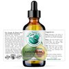 Bella Terra Oils - Avocado Oil 4 oz - Dive into The Purity of Natural Avocado, Abundant in Vitamin K & C, Superior Blend for Essential Oils