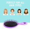 Wet Brush Detangling Hair Brush - Purple - 2 Pack Detangler - Comb for Women, Men & Kids - Wet or Dry – Removes Knots and Tangles, Best for Natural, Straight, Thick & Curly Hair – Pain Free