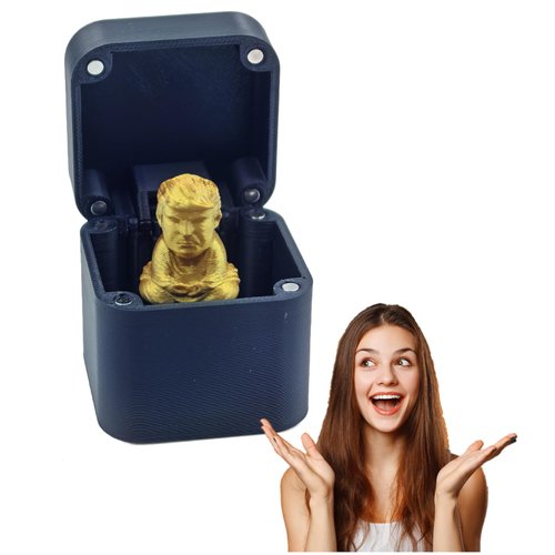 WOPLAY Trump Head in a Box,Trump Finger in a Box, Box of Surprise Trump Head,Trump Head Surprise Gift Box,Hilarious Practical Joke Spoof Toys for Funny Pranks & Jokes (TPSit, 1pcs)