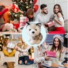 CHELEI2019 7.9" Husky Stuffed Animal Stuffed Husky Dog Plush Pillow Toy Gifts for Kids