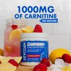 Evogen Carnigen - Premium Carnitine Powder | Supports Fat Metabolism & Promotes Recovery | Stimulant-Free L Carnitine Supplement Matrix with Acetyl L-Carnitine | Raspberry Lemonade | 50 Servings