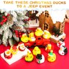 Hanaive 16 Pcs Assorted Christmas Rubber Ducks Bulk with Different Designs Mini Rubber Ducks Bath Toys Xmas Themed Novelty Duck for Party Supplies Gifts Birthday Baby Shower Pool Party (Classic)