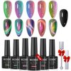MIZHSE 9D Cat Eye Gel Nail Polish: Magnetic Gel Polish Set 10 ml 6 Colors with 2 Magnet Sticks, Chameleon Magic Galaxy Shiny Effect Cateye Nail Gel Soak off Nail Art Gift for Ladies