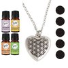 mEssentials Heart Aromatherapy Essential Oil & Diffuser Necklace Gift Set Stainless Steel Gift Set