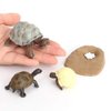 MODEBESO 4PCS Elephant Tortoise Animal Life Cycle,Insect Growth Cycle Model,Hand Painting Animal Figures,Educational Toy,Cake Toppers Christmas Birthday Gift for Kids Todllers (Elephant Tortoise(B))