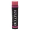 Burts Bees 100% Natural Tinted Lip Balm, Pink Blossom with Shea Butter & Botanical Waxes 1 Tube