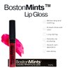 Boston Mints Go Sox! Lip Gloss (.25oz) -Vegan, gluten-free, cruelty-free formula with Aloe, Vitamins C & E, and a refreshing hint of spearmint extract for soft and hydrated lips.