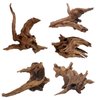 Hamiledyi Aquarium Driftwood,Natural Coral Wood,Fish Tank Driftwood Assorted Branches Reptile Tank Decor Aquarium Decoration(3.5-7in 5Pcs)