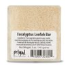 Primal Elements Eucalyptus Loofah Bar Soap, 5 Ounce