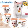 Walking Cat Set Interactive Talking Cat Toy Kitten Repeat What You Say Robot Cat Toy for Girl Singing Dancing Touch Control Cat with Leash Wagging Tail Nodding Plush Electric Ragdoll Kitty Cat for Kid
