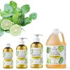 Brittanie's Thyme Organic Natural Hand Soap, 16 oz (Bergamot & Lime) Moisturizing Castile Soap Made Olive Oil And Natural Luxurious Essential Oils. Vegan, Gluten & Cruelty Free,