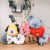 Lerion Pillow Doll Plush Small Plush Puppets Toy Bangtan Boys Throw Pillow Cushion,11.8 Inches (Mang)