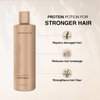 MOEHAIR Protein Infused Shampoo | Anti-Frizz, Moisturizing & Strengthening Shampoo for All Hair Types | With Proteins, Natural Oils & Vitamin E & B5 | Sulfate & Paraben-Free Hair Shampoo 12 Fl Oz