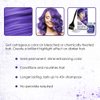 Punky Colour Box Kit Violet - For Bleached, Blonde or Highlighted Hair, Non-Damaging Hair Dye, Vegan, PPD and Paraben Free, Conditions Hair, Vibrant Hair Color, lasts up to 35 washes