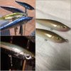 wLure 10 Blank Unpainted Minnow Crankbait Topwater Lipless Jerkbait Fishing Lures V3 (UPM708P10)