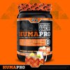 ALR Industries Humapro | Amino Acids Protein Matrix for Humans | 99% Utilization for Lean Muscle | Vegan, Gluten Free | 334g / 45 Servings (Southern Sweet Tea)