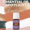Young Living - Envision Essential Oil Blend 5 ml | Ideal for Aromatherapy for Creativity & Awakening Your Inner Drive | Emotional Balance Support | Inspiring Aroma