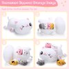 Libima 5 Pcs Cat Stuffed Animal with Plush Kittens Inside Mommy Cat Plush with 4 Cute Fluffy Kittens in Mommy Cat's Belly for Valentine's Day Surprise Gifts Birthday Party Favors