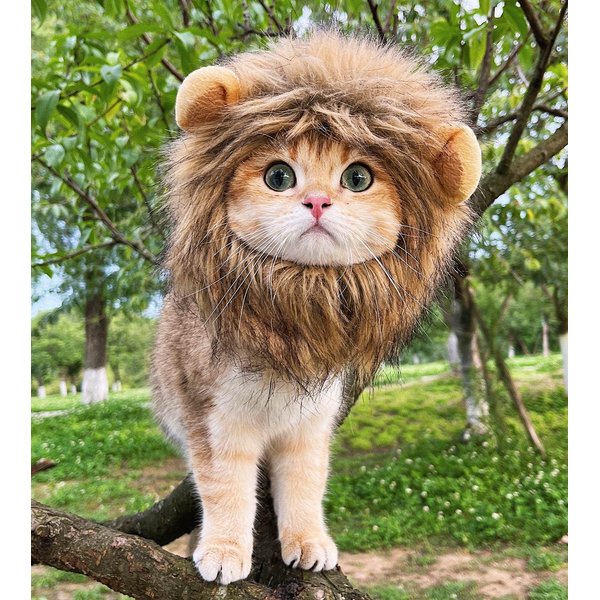 RosyLife Lion Mane Wig for Cat Costume Pet Adjustable Washable Comfortable Fancy Lion Hair Cat Clothes Dress for Halloween Christmas Easter Festival Party Activity (Brown)