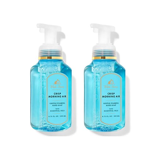 Bath and Body Works Gentle & Clean Foaming Hand Soap 8.75 Ounce 2-Pack (Crisp Morning Air)
