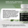 MYOXCIENCE DHEA Avail | Absorption Enhanced DHEA | 10mg, 120 Servings