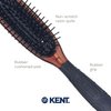 Kent KB Headhog Travel Detangling Hair Brush, Tortoise Shell, Black Rubber Cushion Detangler Brush and Scalp Brush, Firm Rounded Plastic Bristles for Women Men and Kids Everyday Care, Made in England