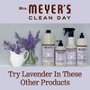 Mrs. Meyer's Glass Cleaner, Lavender, 24 fl. oz.