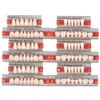 Angzhili 84 Pcs Dental Complete Acrylic Resin Denture False Teeth 3 Sets Synthetic Polymer Resin Denture Teeth 23 Shade A2 Upper + Lower Dental Materials