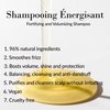 Leonor Greyl Paris Shampooing Energisant - fortifying and volumizing shampoo for thinning hair. 96% natural ingredients and vegan. 6.7 oz. made in France.
