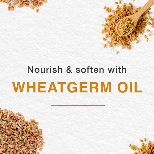 Himalaya Lip Balm (10 Gm), Pack of 12 with Wheat Germ and Carrot Seed Oil Nourishes Lips Prevents Drying