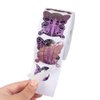 BeautyLeader 500Pcs Nail Form Pruple Bufferfly Shape Nail Art Guide Form Acrylic Tips UV Gel Extension Stickers Guide Stencil Manicure Tools for Nail Polish Guide