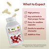 ANDREW LESSMAN Vitamin B12 500 180 Capsules – Absorption-Protected Methylcobalamin (Natural Coenzyme Vitamin B12), Essential for Energy & Stress Support, Plus B-Complex, Easy to Swallow Capsules
