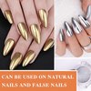 Silver Gold Mirror Chrome Nail Powder Metallic Holographic Nail Powder Chrome Powder Nails Chrome Powder Set Pigment Powder for Nails Mirror Nail Polish Nail Chrome Powder for Gel Nails