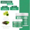 Amla Green Tea Superfood Powder Supplement, 20x Concentrated Amla, Daily Greens Antioxidant Blend with Organic Oolong Tea and Indian Gooseberries, Classic, 30 Servings