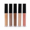 Tahari 15pc Lip Gloss Collection, Matte Nude Lip Glosses for Women and Girls, Long Lasting Color Lip Gloss Set with Rich Varied Colors